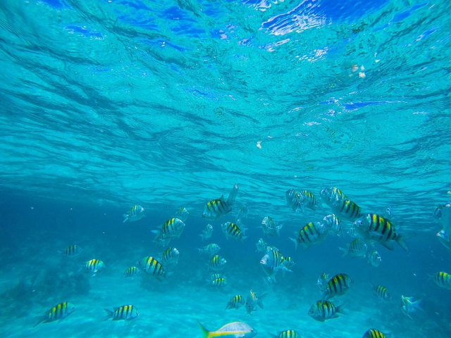 Underwater Adventure February Point Exuma Bahamas