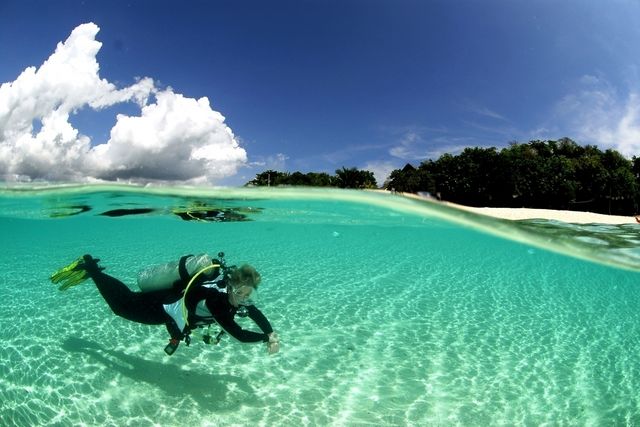 Blue Hole Diving at one of the Best Dive Sites in the Bahamas