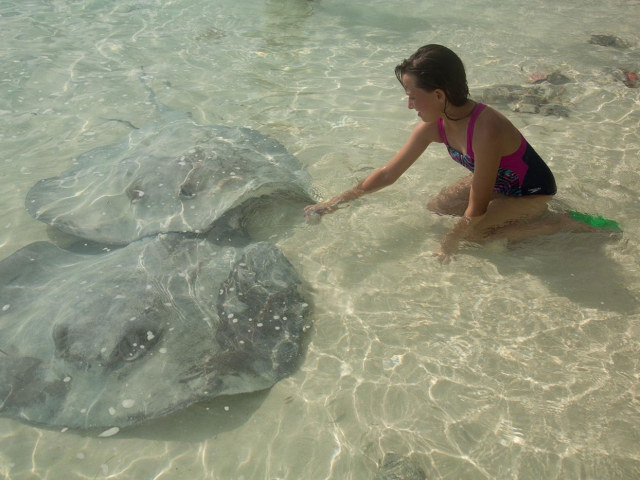 Chat N Chill Exuma Bahamas Stingrays